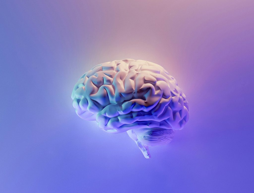Brain